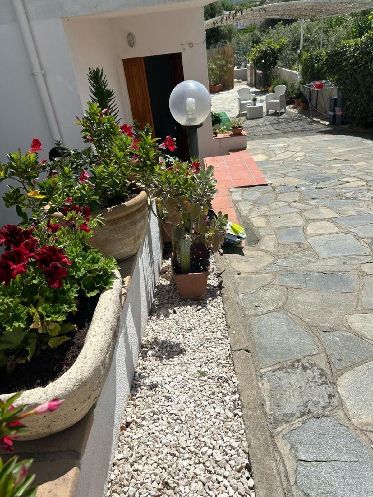 Istella Bed & Breakfast โปซาดา ภายนอก รูปภาพ